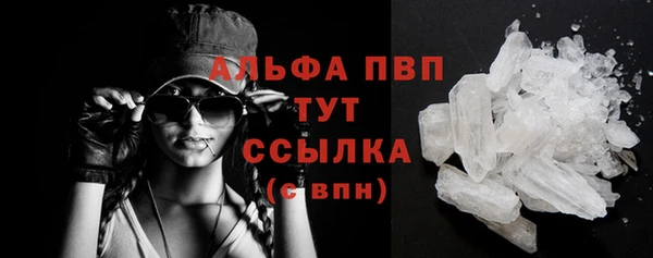 дмт Абаза
