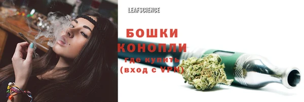 дмт Абаза