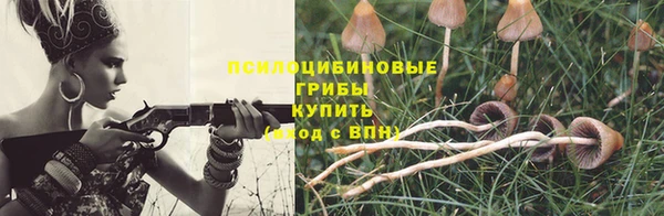 спиды Новодвинск