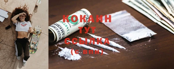 спиды Новодвинск
