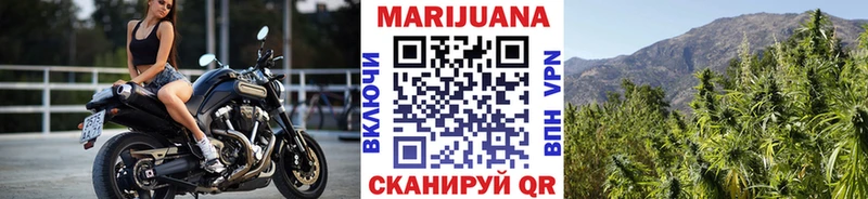 Марихуана гибрид  Ядрин 